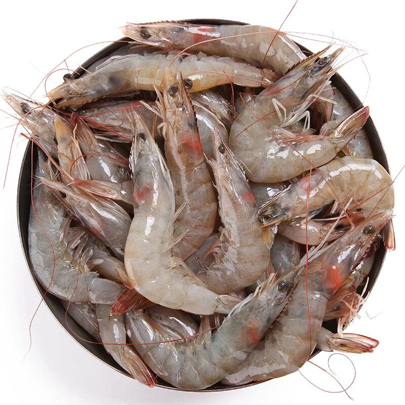威海专业淡水鱼虾饲料厂家